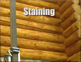  Taylor County, Kentucky Log Home Staining